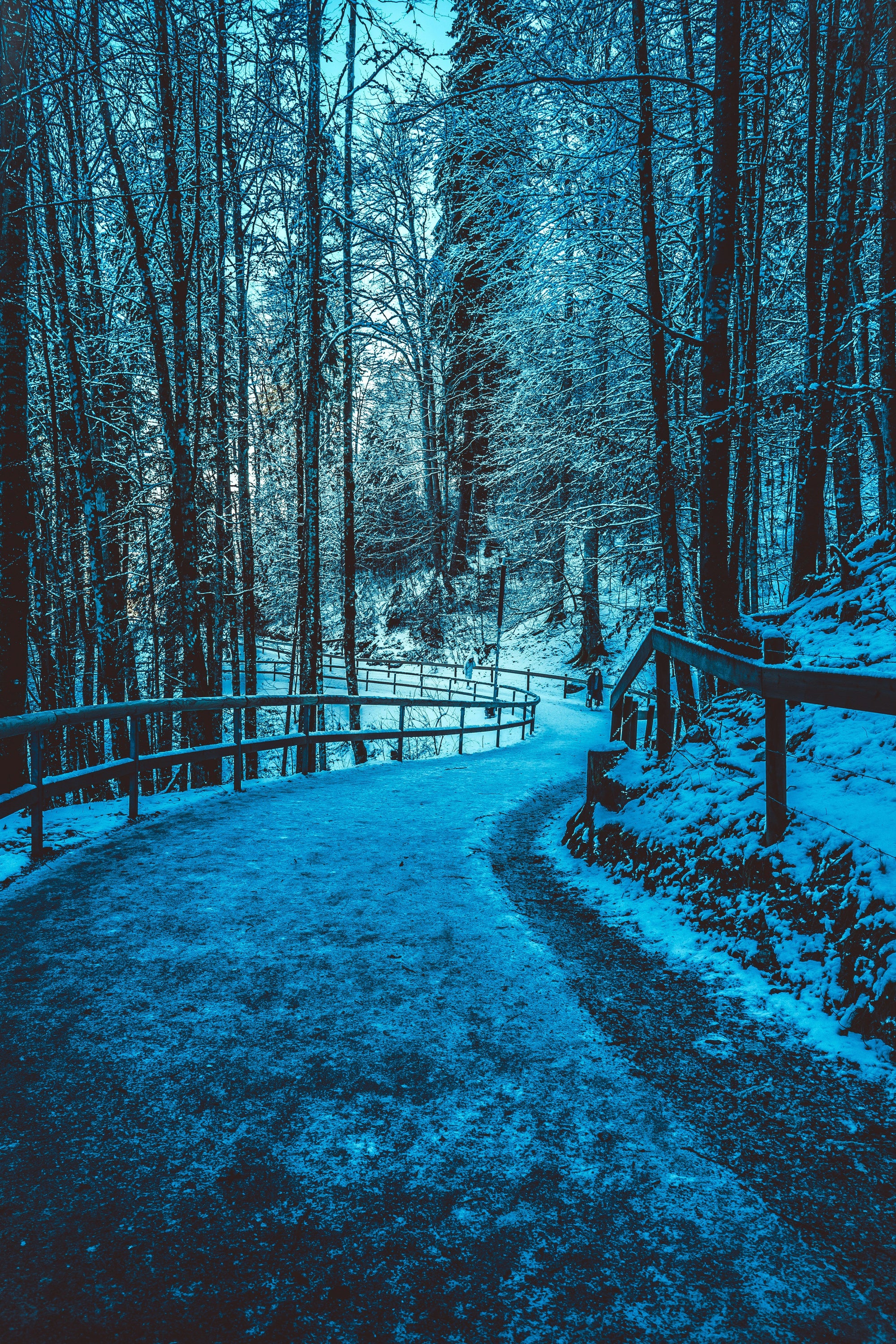 Winter Blues on Birth Control?